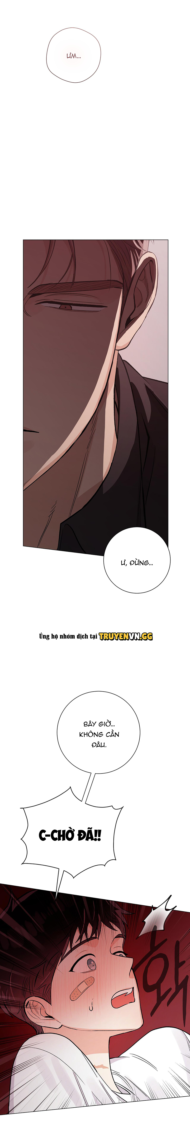 Tiếng Đập Con Tim Chapter 28 - Trang 2