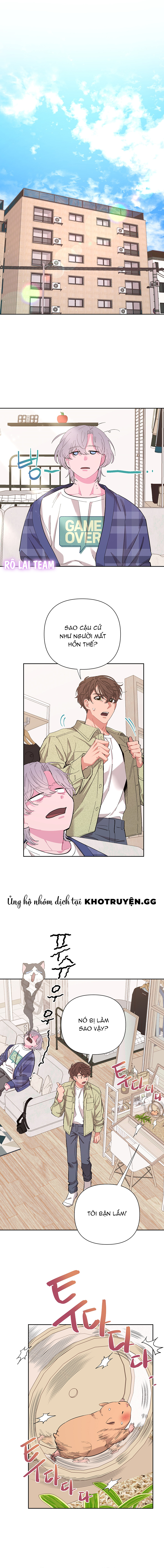 Choco Milk Shake Chapter 16 - Trang 2