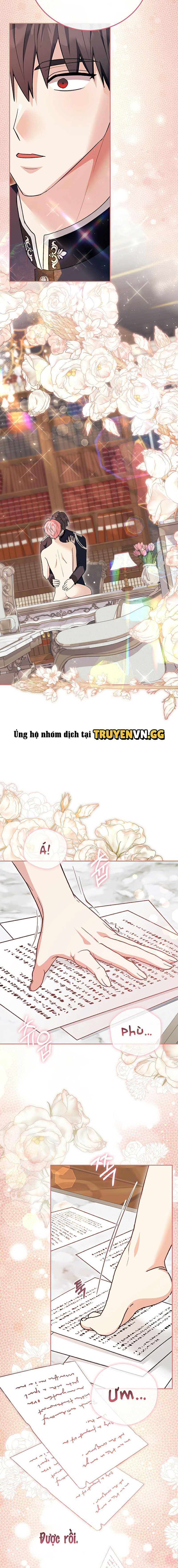 Xuyên Thành Cục Bông Của Tổng Công Chapter 37 - Next 