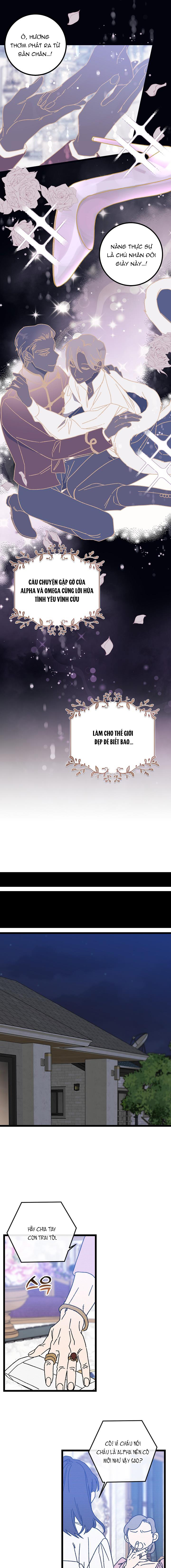 Alpha Thì Có Sao? Chapter 1 - Trang 2