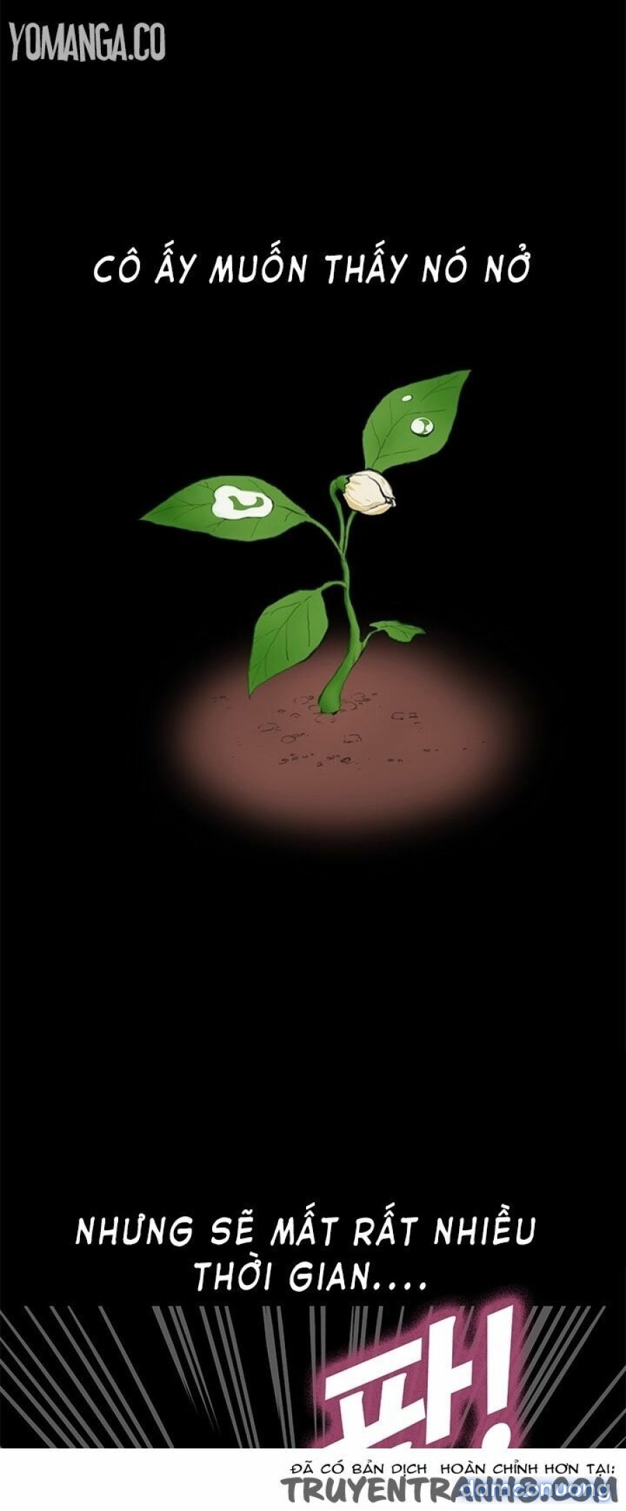 Dâm Nữ Si Eun Chapter 2 - Trang 2