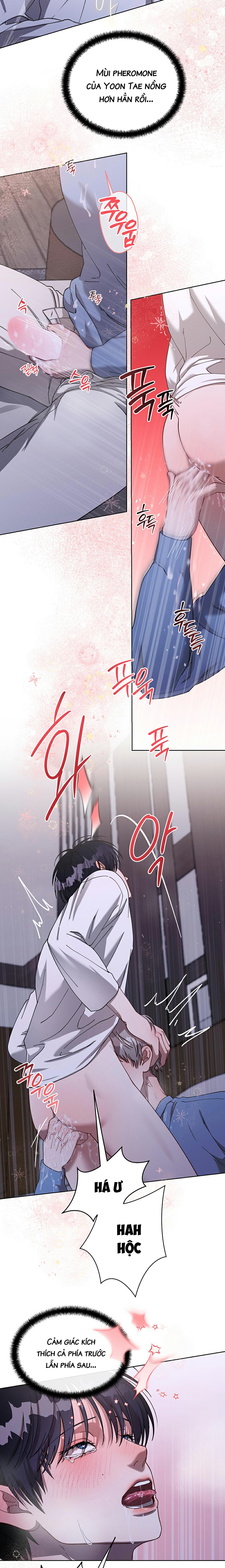 Cách Yêu Thương Điều Quý Giá Chapter 11 - Next Chapter 12 End