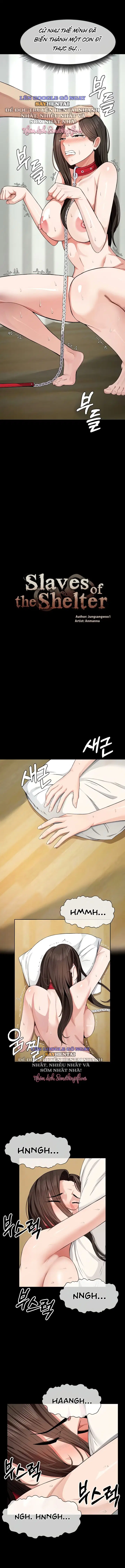 Nô Lệ Nơi Trú Ẩn Chapter 33 - Next Chapter 34