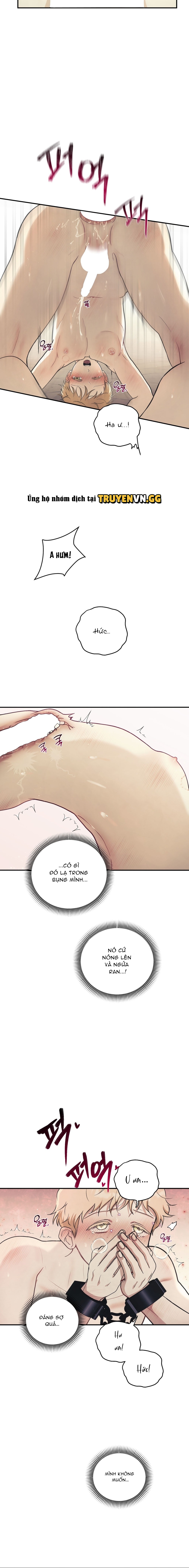 Bên Kia Đại Dương Chapter 14 - Trang 2