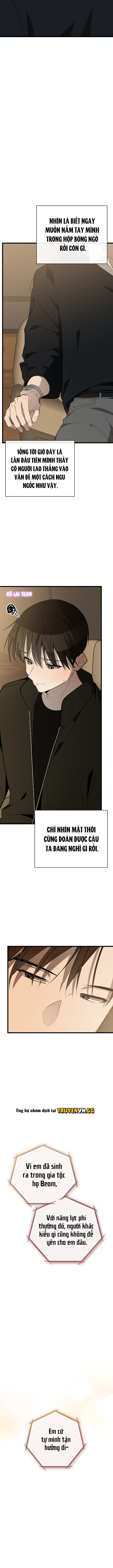 Hãy Sinh Cho Tôi Một Con Linh Miêu Con, Nếu Không Muốn Thấy Tôi Phát Điên! Chapter 5 - Next 