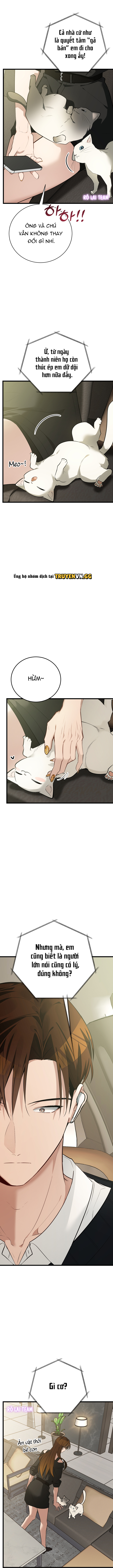 Hãy Sinh Cho Tôi Một Con Linh Miêu Con, Nếu Không Muốn Thấy Tôi Phát Điên! Chapter 5 - Next 