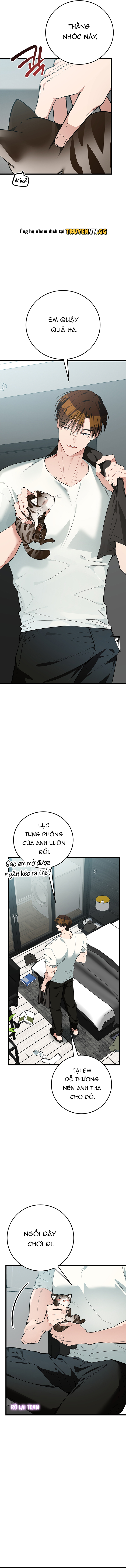 Hãy Sinh Cho Tôi Một Con Linh Miêu Con, Nếu Không Muốn Thấy Tôi Phát Điên! Chapter 8 - Trang 2