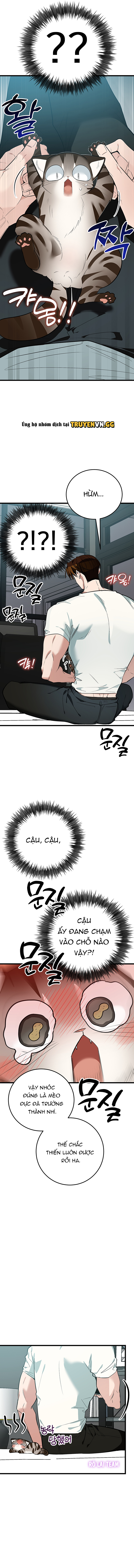 Hãy Sinh Cho Tôi Một Con Linh Miêu Con, Nếu Không Muốn Thấy Tôi Phát Điên! Chapter 8 - Trang 2