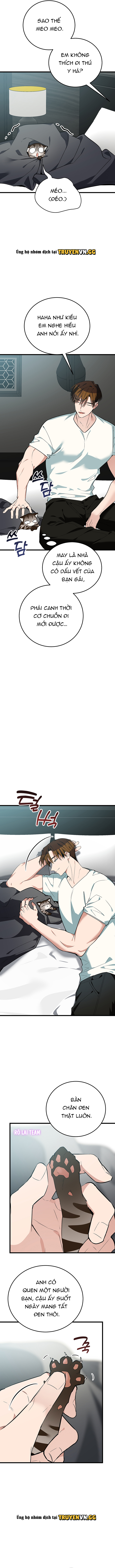 Hãy Sinh Cho Tôi Một Con Linh Miêu Con, Nếu Không Muốn Thấy Tôi Phát Điên! Chapter 8 - Trang 2