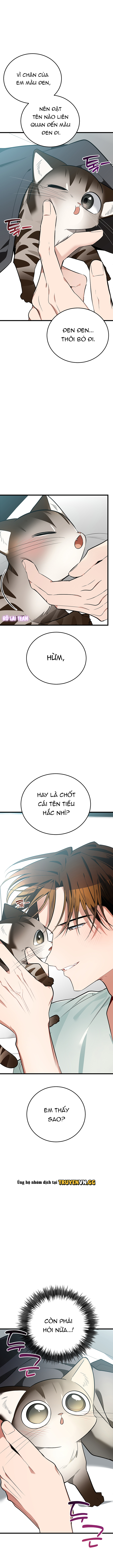Hãy Sinh Cho Tôi Một Con Linh Miêu Con, Nếu Không Muốn Thấy Tôi Phát Điên! Chapter 8 - Trang 2