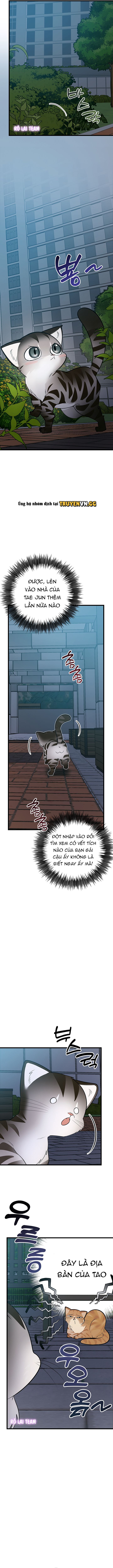 Hãy Sinh Cho Tôi Một Con Linh Miêu Con, Nếu Không Muốn Thấy Tôi Phát Điên! Chapter 8 - Trang 2