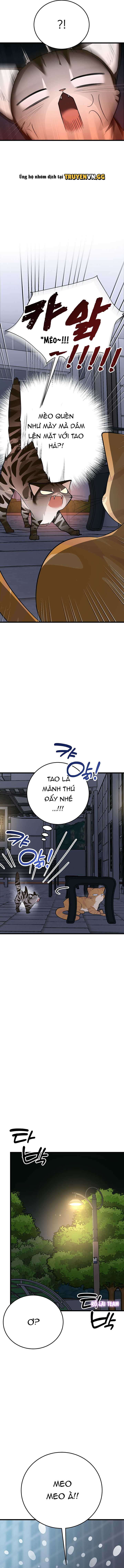 Hãy Sinh Cho Tôi Một Con Linh Miêu Con, Nếu Không Muốn Thấy Tôi Phát Điên! Chapter 8 - Trang 2