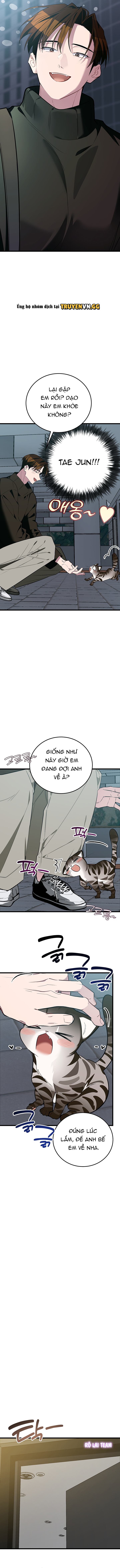 Hãy Sinh Cho Tôi Một Con Linh Miêu Con, Nếu Không Muốn Thấy Tôi Phát Điên! Chapter 8 - Trang 2