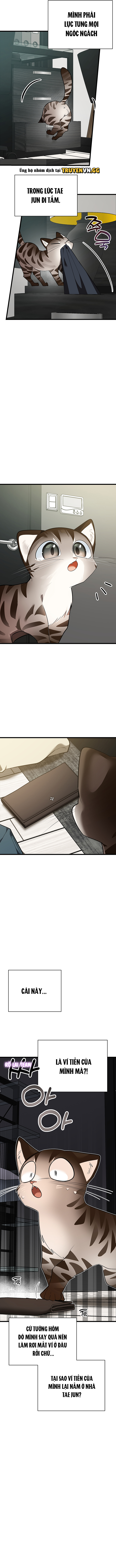 Hãy Sinh Cho Tôi Một Con Linh Miêu Con, Nếu Không Muốn Thấy Tôi Phát Điên! Chapter 8 - Trang 2