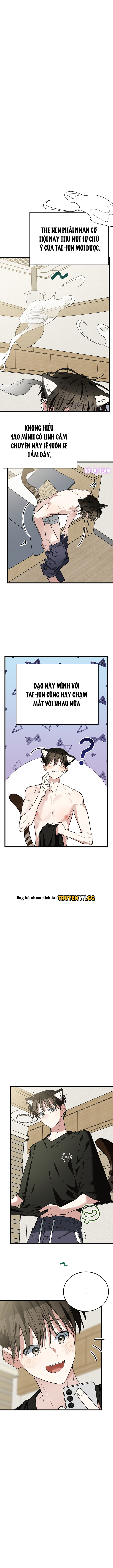 Hãy Sinh Cho Tôi Một Con Linh Miêu Con, Nếu Không Muốn Thấy Tôi Phát Điên! Chapter 9 - Trang 2