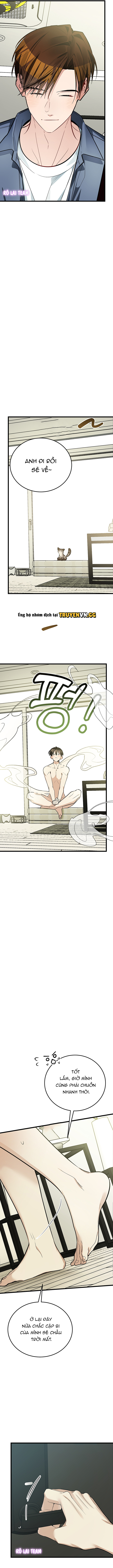 Hãy Sinh Cho Tôi Một Con Linh Miêu Con, Nếu Không Muốn Thấy Tôi Phát Điên! Chapter 9 - Trang 2