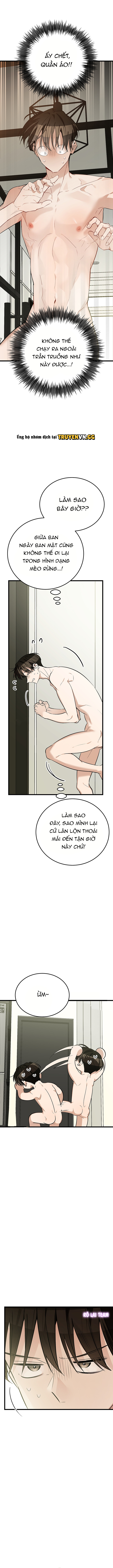 Hãy Sinh Cho Tôi Một Con Linh Miêu Con, Nếu Không Muốn Thấy Tôi Phát Điên! Chapter 9 - Trang 2