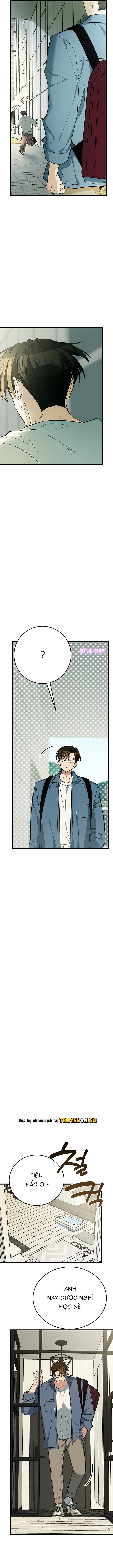 Hãy Sinh Cho Tôi Một Con Linh Miêu Con, Nếu Không Muốn Thấy Tôi Phát Điên! Chapter 9 - Trang 2
