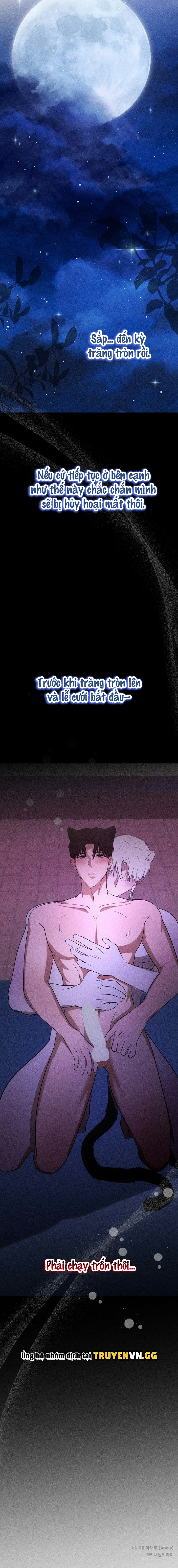 Hôn Lễ Của Sơn Quân Chapter 6 19