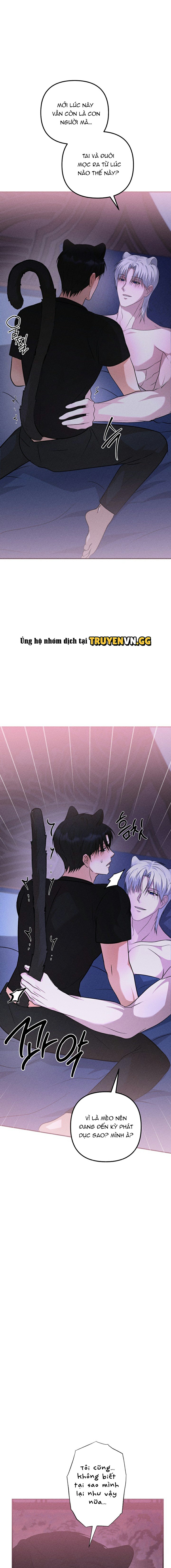 Hôn Lễ Của Sơn Quân Chapter 6 3