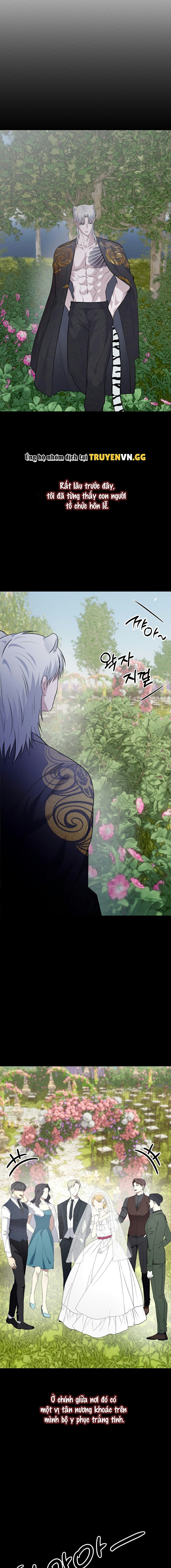 Hôn Lễ Của Sơn Quân Chapter 9 12